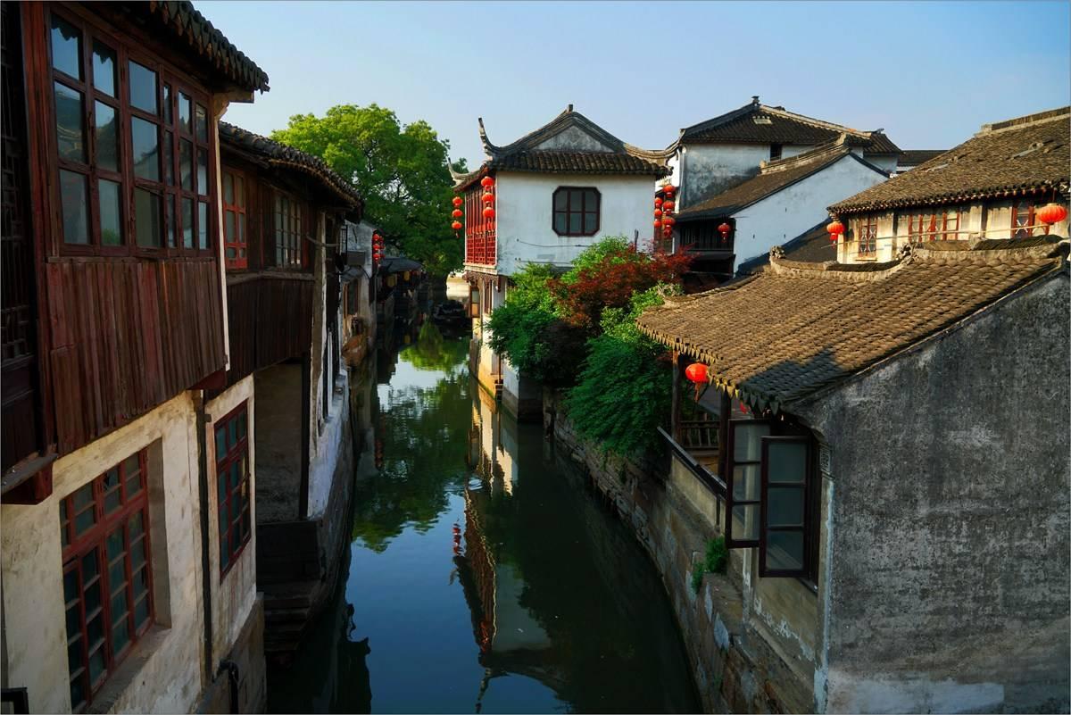 探索养文竹施什么肥料最好的知识星球,获取专业解读与研究